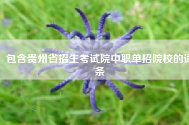 包含贵州省招生考试院中职单招院校的词条