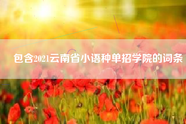 包含2021云南省小语种单招学院的词条