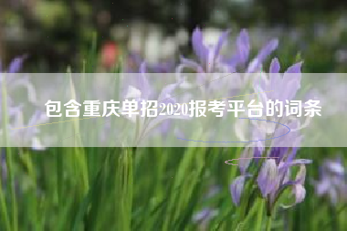 包含重庆单招2020报考平台的词条